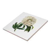 White Peony von Pierre Joseph Redoute Fliese (Seite)