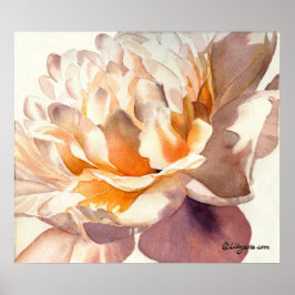White Peony Watercolor Poster drucken