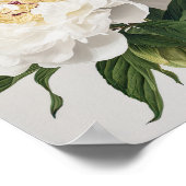 White Peonys Blume Art Print Poster (Ecke)