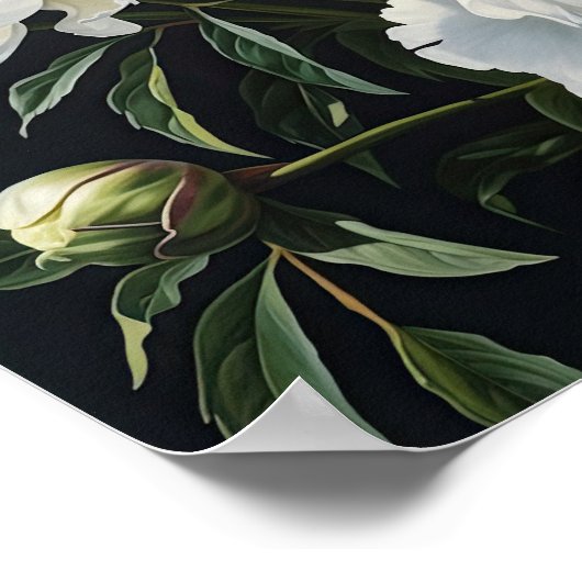 White Peonys Blume Art Print Poster (Ecke)