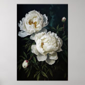 White Peonys Blume Art Print Poster (Vorne)
