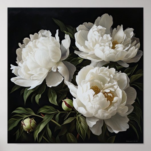 White Peonys Blume Art Print Poster (Vorne)