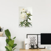White Peonys Blume Art Print Poster (Heimbüro)