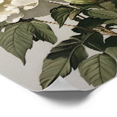 White Peonys Blume Art Print Poster (Ecke)