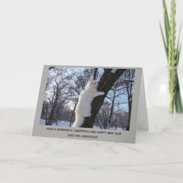 White Persian Cat Up a Tree Christmas Personalisie Feiertagskarte