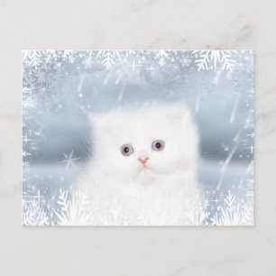 White persian kitten Christmas Feiertagspostkarte