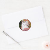 White Persian Kitten Runder Aufkleber (Umschlag)