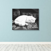 White Persian Sleeping Cat Leinwanddruck (Insitu (Holzboden))