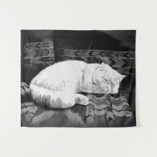 White Persian Sleeping Cat Wandteppich (Vorderseite (Horizontal))