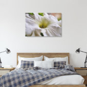 White Petunia Blume Fotografie Leinwanddruck (Insitu (Schlafzimmer))