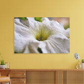 White Petunia Blume Fotografie Leinwanddruck (Insitu (Wohnzimmer))