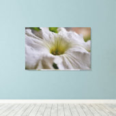 White Petunia Blume Fotografie Leinwanddruck (Insitu (Holzboden))