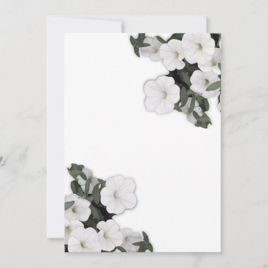 White Petunia Einladung (Vorderseite)