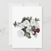 White Petunia Einladung (Rückseite)