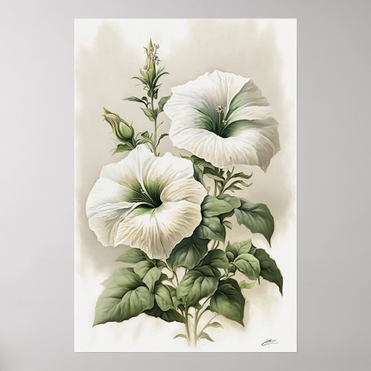 White Petunias Blume Art Print Poster (Vorne)