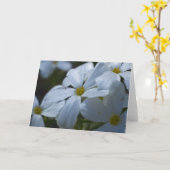 White Phlox Karte (Gelbe Blume)