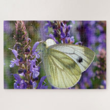 White Pieris Rapae Butterfly.
