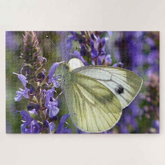 White Pieris Rapae Butterfly. Puzzle (Horizontal)