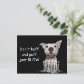 White Pitbull Birthday Postkarte (Stehend Vorderseite)