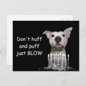 White Pitbull Birthday Postkarte (Vorne/Hinten)