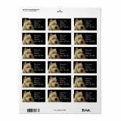 White Pitbull Terrier Adressaufkleber (Vorne)