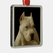 White Pitbull Terrier Ornament Aus Metall (Rechts)