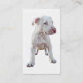 White Pitbuls Puppy Business Cards Visitenkarte (Rückseite)