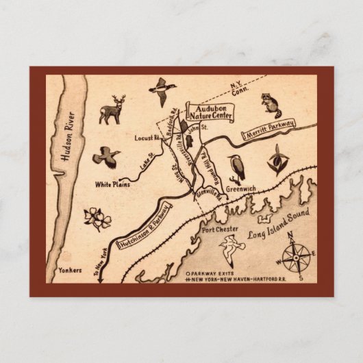 White Plains NY Vintage Postkarte (Vorderseite)