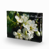 White Plum Blossom Macro | Personalized Photo Bloc Fotoblock (Rechts)
