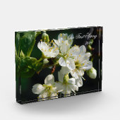 White Plum Blossom Macro | Personalized Photo Bloc Fotoblock (Links)