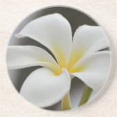 White Plumeria Blume Kauai Getränkeuntersetzer (Vorne)
