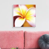 White Plumeria Frangipani Hawaii Blume Hawaii Leinwanddruck (Insitu (Wohnzimmer))