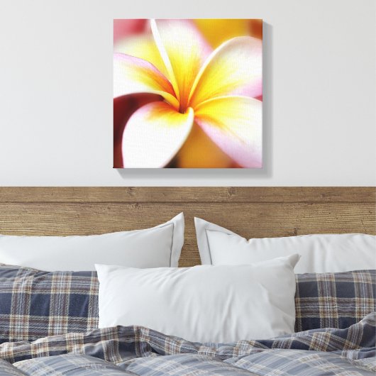 White Plumeria Frangipani Hawaii Blume Hawaii Leinwanddruck (Insitu (Schlafzimmer))