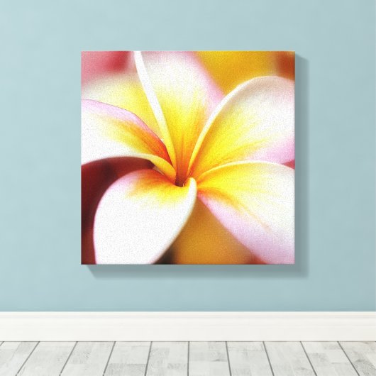 White Plumeria Frangipani Hawaii Blume Hawaii Leinwanddruck (Insitu (Holzboden))