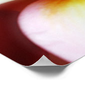 White Plumeria Frangipani Hawaii Blume Hawaii Poster (Ecke)