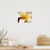 White Plumeria Frangipani Hawaii Blume Hawaii Poster (Küche)