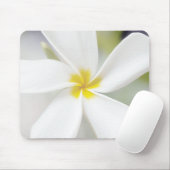 White Plumeria - Makroportrait Mousepad (Mit Mouse)