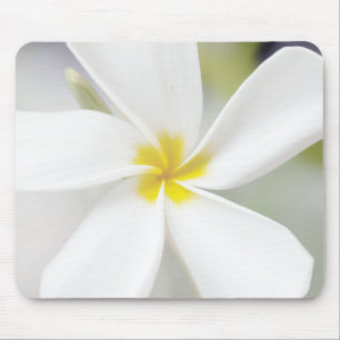 White Plumeria - Makroportrait Mousepad