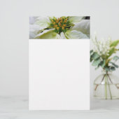 White Poinsettia Elegante Weihnachtsfeiertage Briefpapier (Stehend Vorderseite)