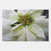 White Poinsettia Elegante Weihnachtsfeiertage Geschenkpapier Set (Vorderseite 3)