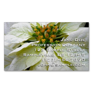 White Poinsettia Elegante Weihnachtsfeiertage Magnetische Visitenkarte