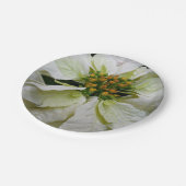 White Poinsettia Elegante Weihnachtsfeiertage Pappteller (Schrägansicht)