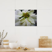 White Poinsettia Elegante Weihnachtsfeiertage Poster (Küche)