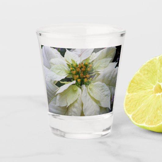 White Poinsettia Elegante Weihnachtsfeiertage Schnapsglas (Vorderseite)