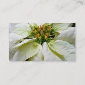 White Poinsettia Elegante Weihnachtsfeiertage Visitenkarte (Rückseite)