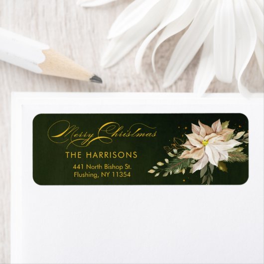 White Poinsettia & Frohe Weihnachtskalligraphie (Insitu)