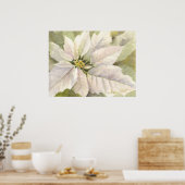 White Poinsettia Poster (Küche)