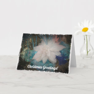 White Poinsettia Weihnachtsfeiertag Blume Ornament Karte