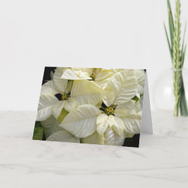 White Poinsettias Feiertagskarte