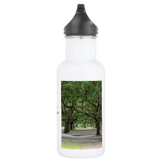 White Point Gärten Painterly Water Flasche Edelstahlflasche (Rechts)